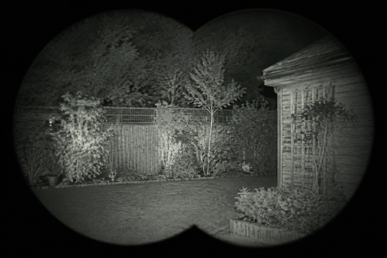 How to Test Night Vision Binoculars Before a Field Trip